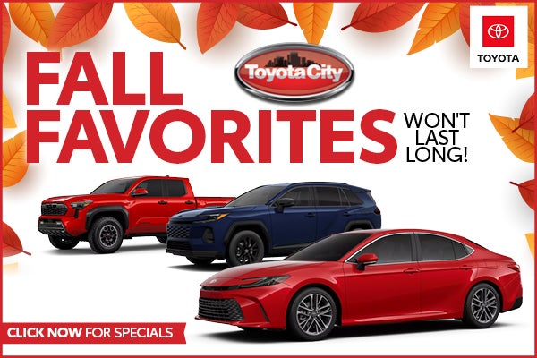 FALL FAVORITES