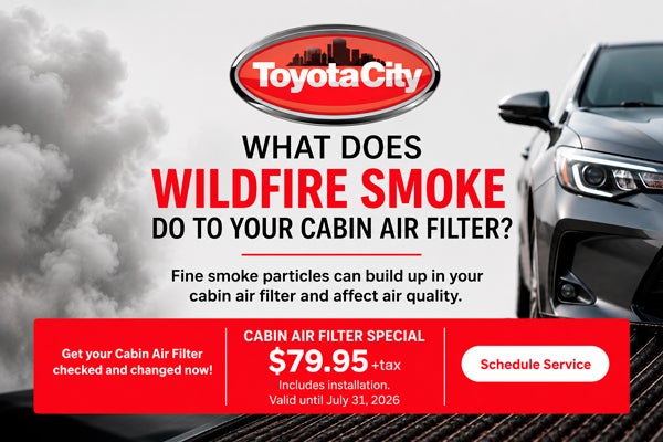Cabin Air Filter